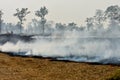 Stubble burning cases in Chhattisgarh, India