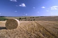 Stubble field with Hay Bale Royalty Free Stock Photo