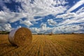 Stubble Field with Hay Bales Royalty Free Stock Photo