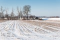 Stubble field from silage maize covered with snow Royalty Free Stock Photo