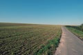 Stubble field with street Royalty Free Stock Photo