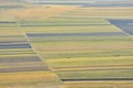 Stubble Fields in Dobrogea