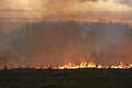 Stubble fire at Dusk Royalty Free Stock Photo