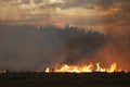 Stubble fire at Dusk