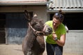 Stubborn donkey and a beautiful doctor