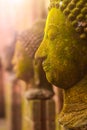 Stucco Face Buddha Goddess Sacred With green moss Royalty Free Stock Photo