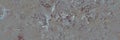 Stucco surface texture grey grunge metal silver textured surface of the concrete wall, broken cement material stone