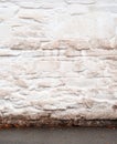 Stucco white wall in autumn Royalty Free Stock Photo