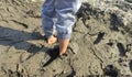 Stuck in the mud. Close-up view of feet walking through muddy path Royalty Free Stock Photo