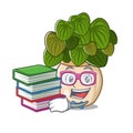 Student with book peperomia with in the cartoon shape Royalty Free Stock Photo