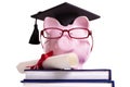 Student college graduate Piggy Bank degree diploma certificate isolated on white Royalty Free Stock Photo