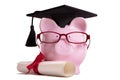 Student college graduate Piggy Bank degree diploma isolated on white, education success concept Royalty Free Stock Photo