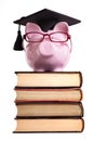 Student college graduate Piggy Bank isolated on white background, front view, vertical Royalty Free Stock Photo