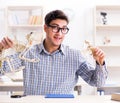 Student doctor studying animal skeleton Royalty Free Stock Photo