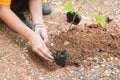 Student hands of School Girl in motion of Plantation tree on the ground as concept of Green environment and conserving Royalty Free Stock Photo