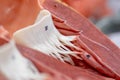 Student learning anatomy raw pig heart for education.