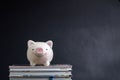 Student loan, saving for school or scholarship concept, piggybank on stack of books with dark blackboard background