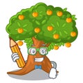 Student orange tree in the character shape