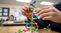 Student assembling a DNA model in a classroom setting, close up Royalty Free Stock Photo