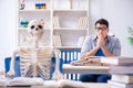 The student skeleton listening to lecture in classroom Royalty Free Stock Photo