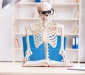 Student skeleton preparing for exams Royalty Free Stock Photo
