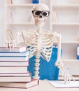 Student skeleton preparing for exams Royalty Free Stock Photo