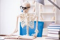 The student skeleton preparing for exams Royalty Free Stock Photo