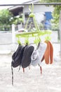 Student sneakers that are washed and hung to dry in the sun.