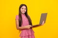 Student teenager schoolgirl with laptop on isolated background. Online webinar, elearning lesson, pc computer. Royalty Free Stock Photo