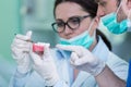 Students with dental prosthesis, dentures, prosthetics work. Royalty Free Stock Photo