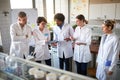 Students looking information in chemical lab Royalty Free Stock Photo