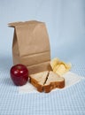 Students Sack Lunch Royalty Free Stock Photo