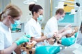 Students of stomatology Royalty Free Stock Photo