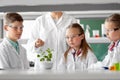 Students and teacher with plant at biology class Royalty Free Stock Photo