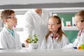 Students and teacher with plant at biology class Royalty Free Stock Photo