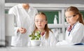 Students and teacher with plant at biology class Royalty Free Stock Photo