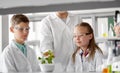 Students and teacher with plant at biology class Royalty Free Stock Photo