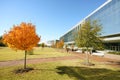 Students walking on Centennial Campus of North Carolina State University in Raleigh , with Fall foliage Royalty Free Stock Photo