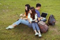 Students young asian together working study Royalty Free Stock Photo