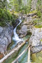 Studeny potok stream in High Tatras Mountains, Slovakia Royalty Free Stock Photo