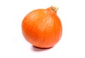 Studio Close up decorative squash, pumpkin on white background