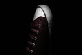 Studio close-up photo of brown sneaker shoe on black background. Royalty Free Stock Photo