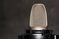 Studio Condenser Microphone