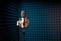 Studio condenser microphone on acoustic foam panel background Royalty Free Stock Photo