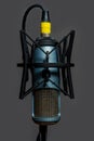 Studio Condenser Microphone Blue and Gold