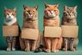 Studio group portrait of cats holding protest signs, created with Generative AI technology Royalty Free Stock Photo