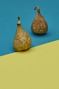 Two dried figs on blue and yellow background minimal modern food Royalty Free Stock Photo