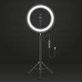 Studio lamp light ring or LED selfie lamp Royalty Free Stock Photo