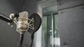 Studio microphone with shock mount and pop filter
