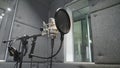 Studio microphone with shock mount and pop filter